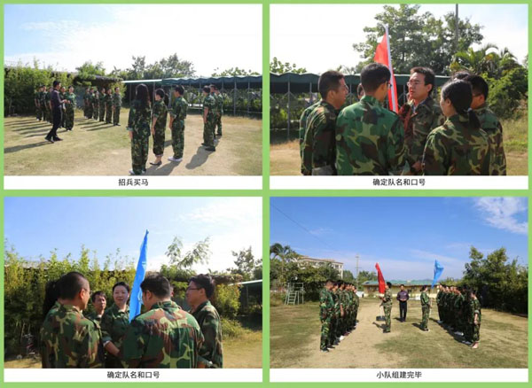 z6尊龙凯时新能源_厚积薄发_赢胜2021(图4)