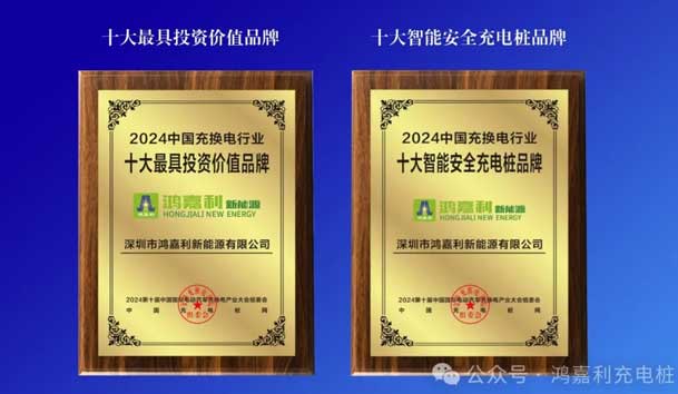 匠心致远，载誉前行：2024年z6尊龙凯时新能源荣获充换电十大品牌奖！(图5)